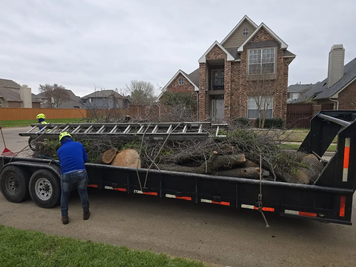 Expert Lot Clearing with proper safety equipment in Carlton